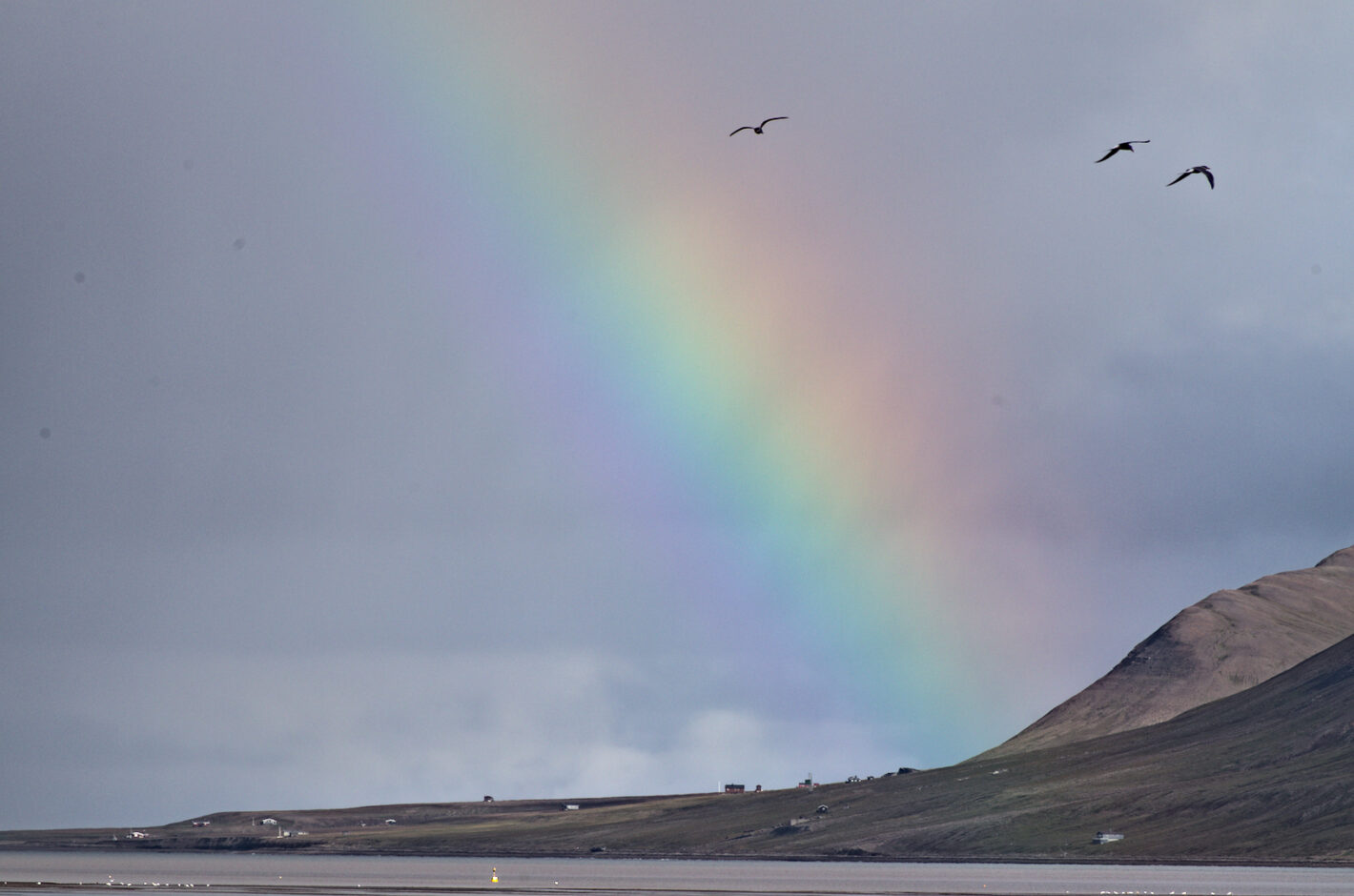 Rainbow in Svalbard